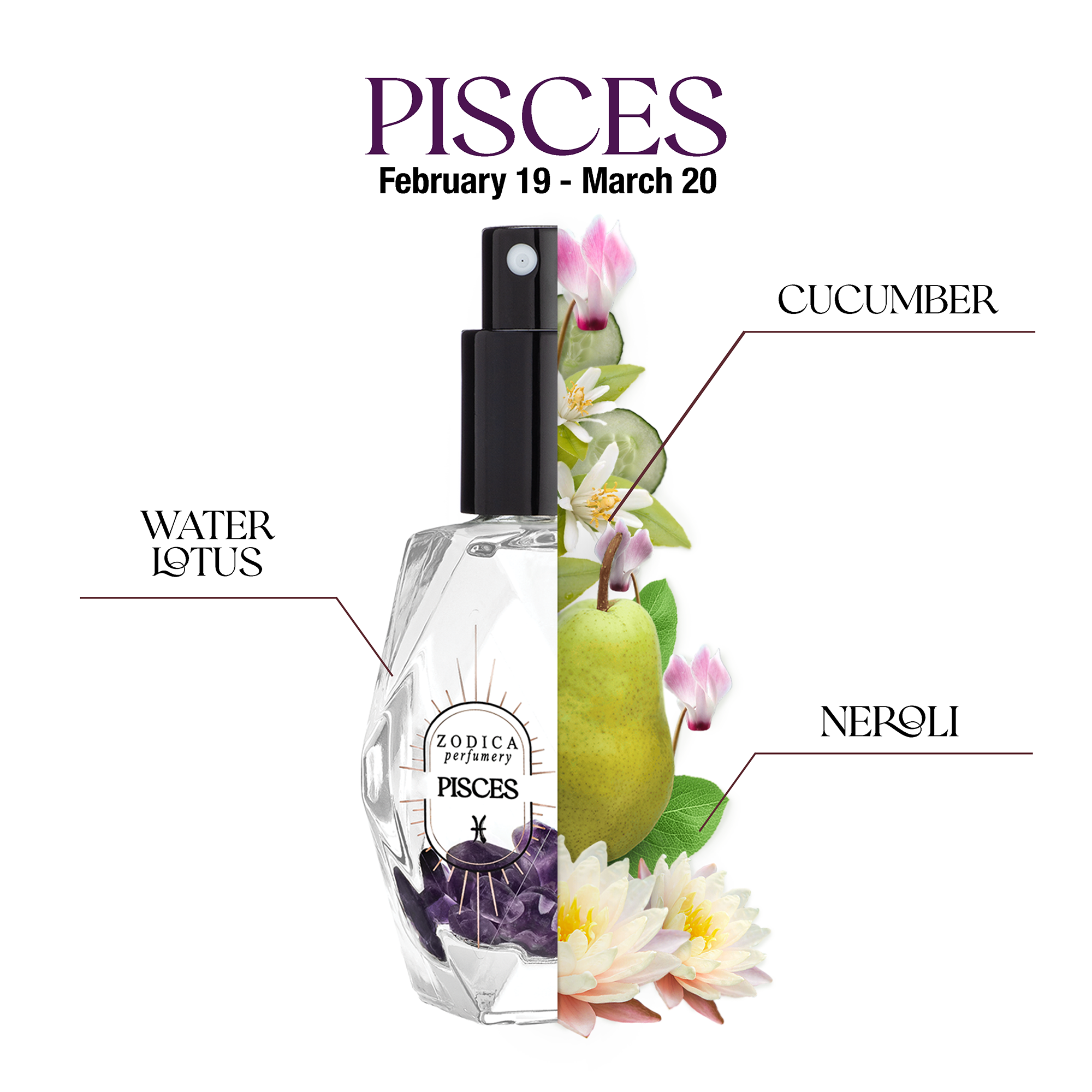 Perfume bottle labeled 'Pisces' with zodiac details and floral elements on a white background