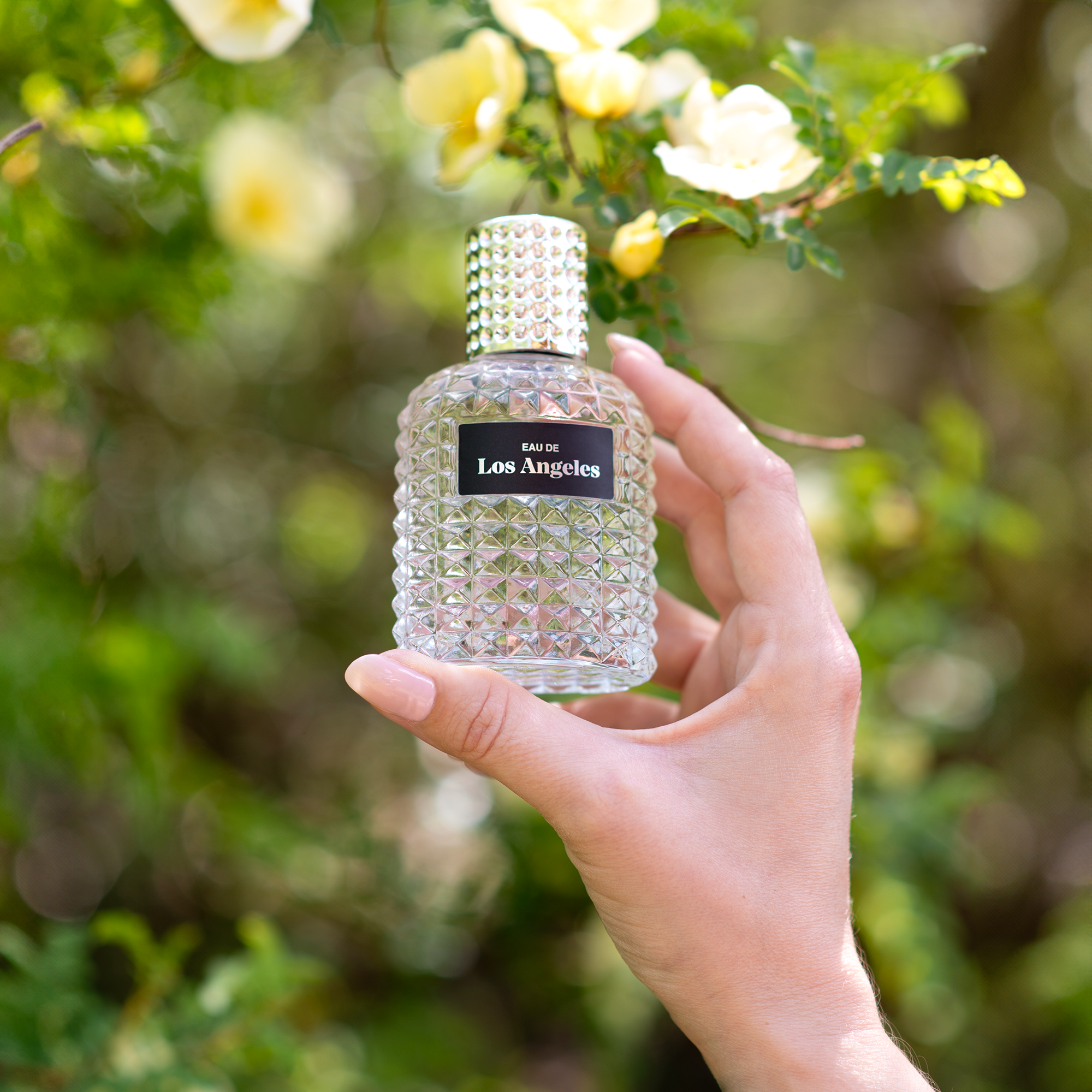 Eau de Los Angeles Perfume